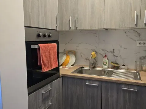 Izdavanje, dvosoban stan, 44m², Zvezdara, Zvezdara Sve Podlokacije - image 4