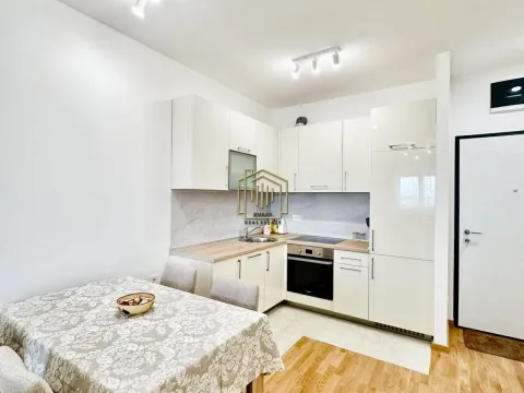 Izdavanje, jednosoban stan, 47m², Stari Aerodrom, Podgorica - image 10