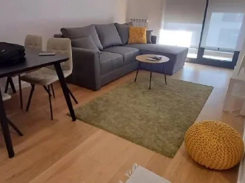 Rent, two bedroom apartment, 40m², Tošin bunar, Novi Beograd Sve Podlokacije - image 3