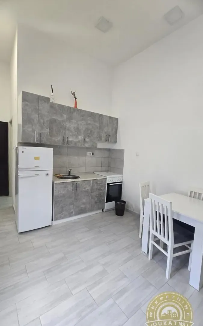 Izdavanje, garsonjera, 22m², Detelinara, Novi Sad Sve Podlokacije
