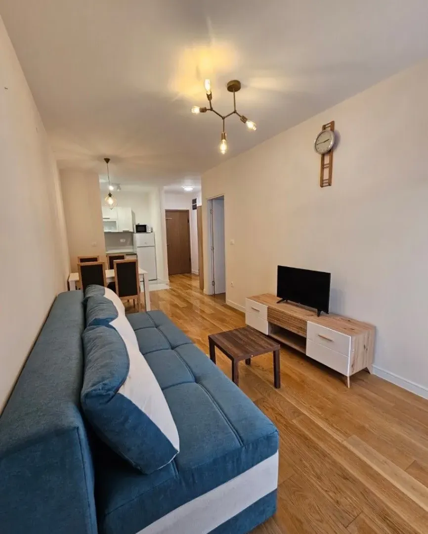 Izdavanje, jednosoban stan, 40m², Central Point, Podgorica