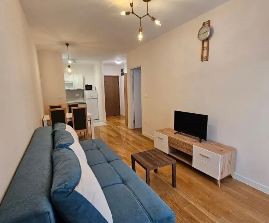 Izdavanje, jednosoban stan, 40m², Central Point, Podgorica