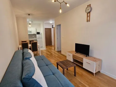 Izdavanje, jednosoban stan, 40m², Central Point, Podgorica