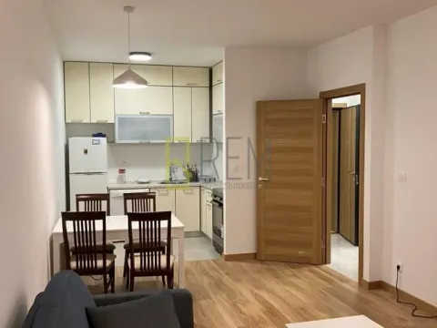 Izdavanje, jednosoban stan, 48m², City Kvart, Podgorica - image 4