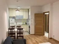 Izdavanje, jednosoban stan, 48m², City Kvart, Podgorica - image 4