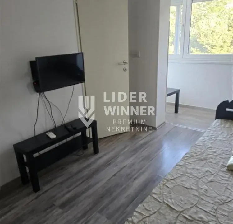 Izdavanje, stan, 17m², Savski Venac, Beograd