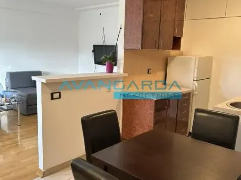 Izdavanje, stan, 47m², Stari Merkator, Novi Beograd Sve Podlokacije - image 12