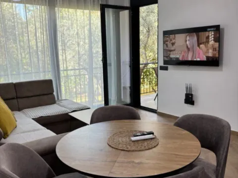 Izdavanje, jednosoban stan, 48m², Šušanj, Bar - image 7