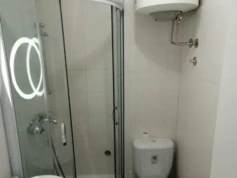 Izdavanje, dvosoban stan, 33m², Vračar Sve Podlokacije, Beograd - image 11