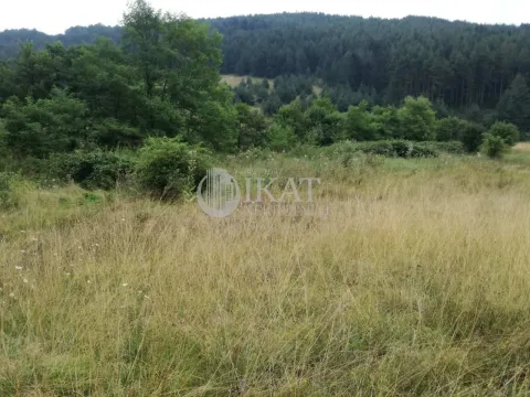 Sale, land lot, 8600m², Divčibare, Valjevo - image 4