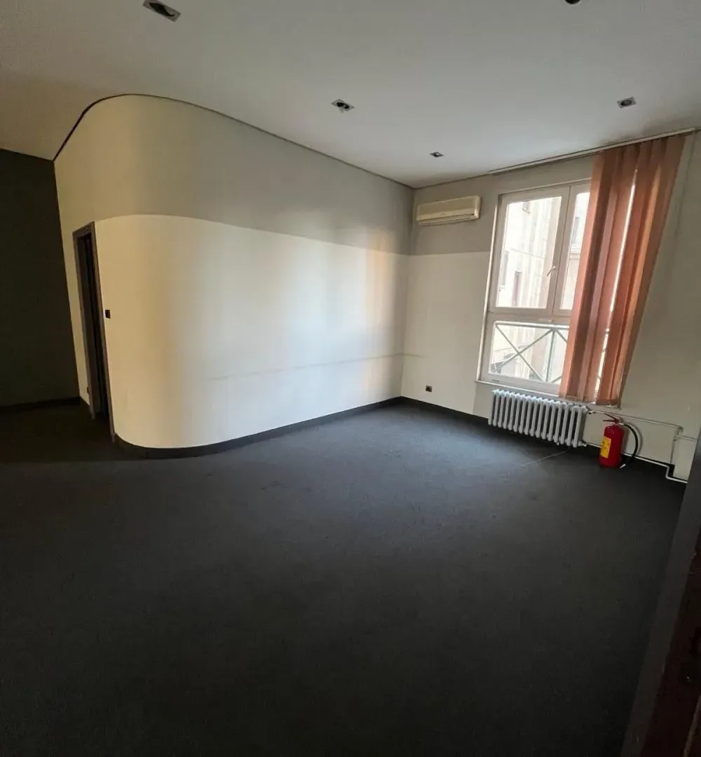 Rent, office space, 201m², Botanička Bašta, Palilula Sve Podlokacije