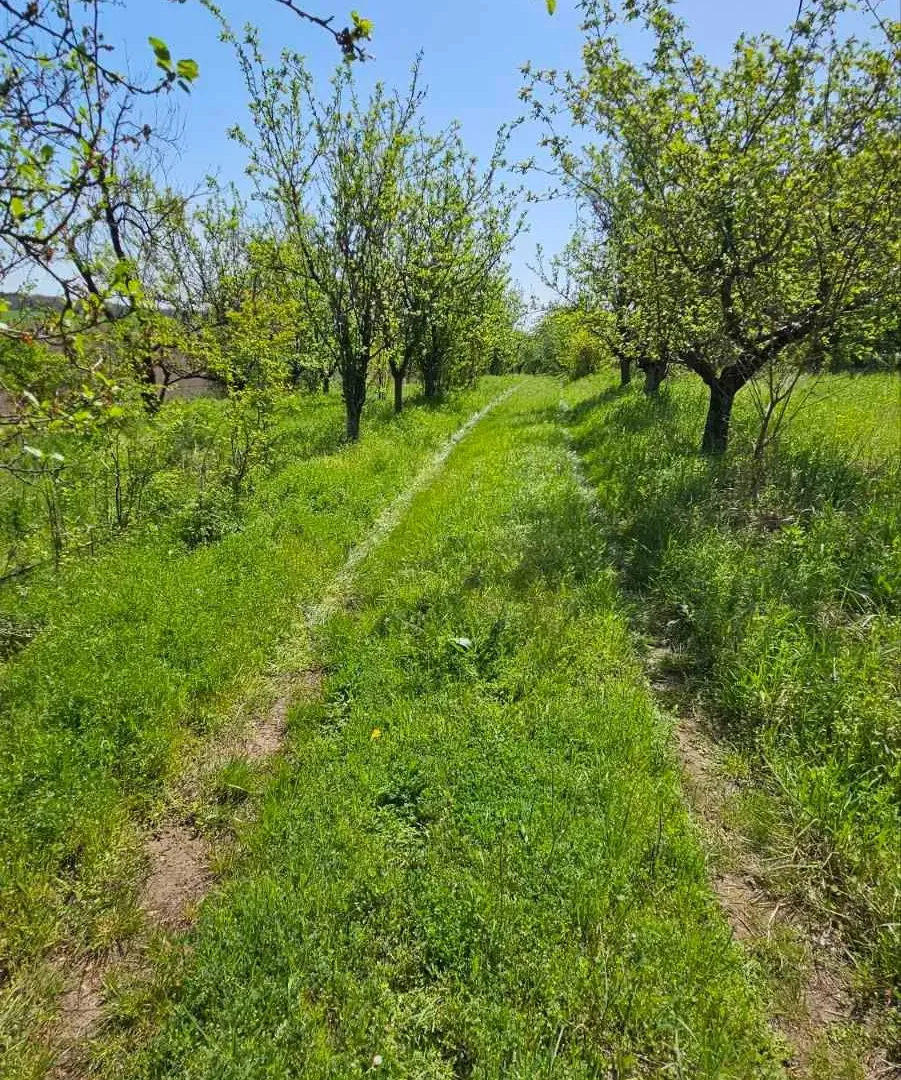 Prodaja, kuća, 123m², Alibunar, Srbija