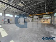 Izdavanje, poslovni prostor, 800m², Čukarica, Beograd - image 2