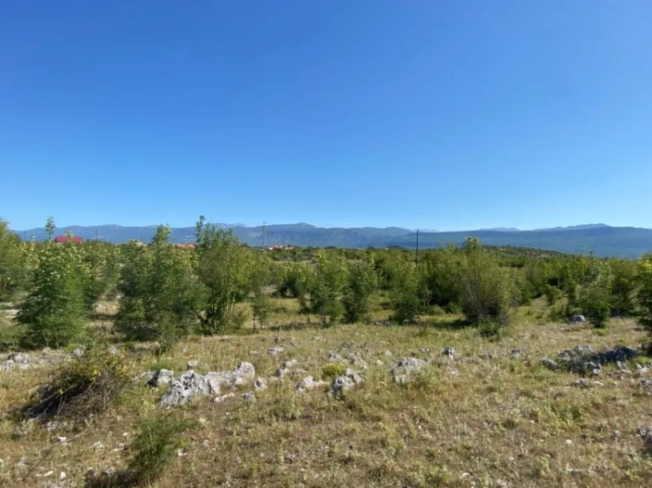 Sale, land lot, 1557m², Grbe, Danilovgrad