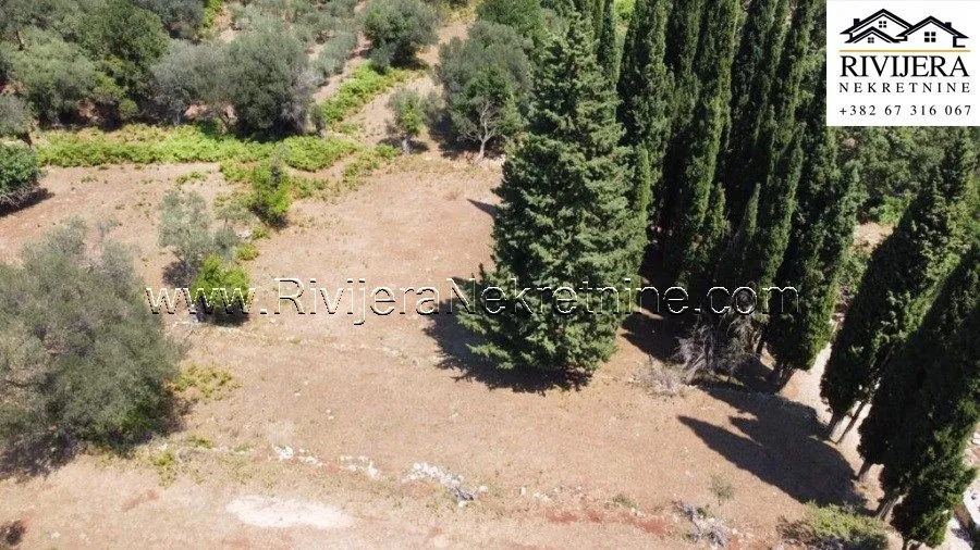 Prodaja, plac, 2391m², Žvinje, Herceg Novi