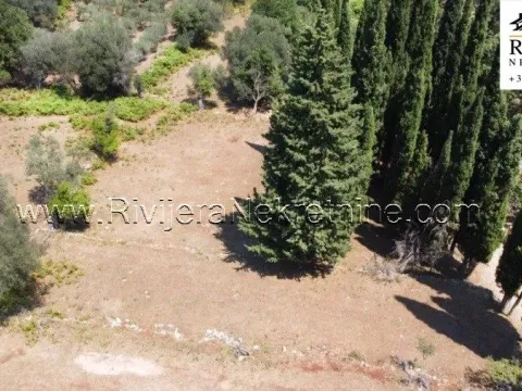 Prodaja, plac, 2391m², Žvinje, Herceg Novi - image 15