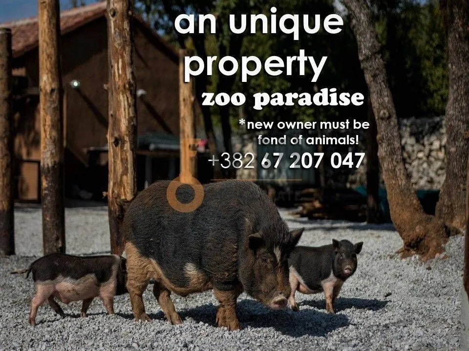Sale, office space, Ostalo, Podgorica