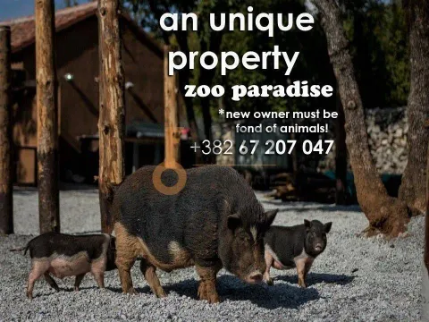 Prodaja, poslovni prostor, Ostalo, Podgorica - image 5