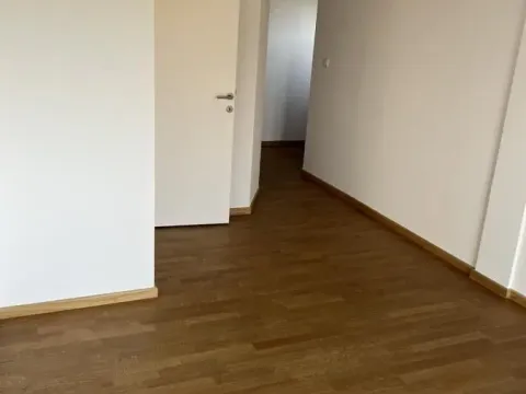 Rent, house, 247m², Sremska Kamenica, Petrovaradin - image 22