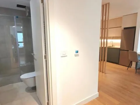 Izdavanje, dvosoban stan, 54m², Lion, Zvezdara Sve Podlokacije - image 13