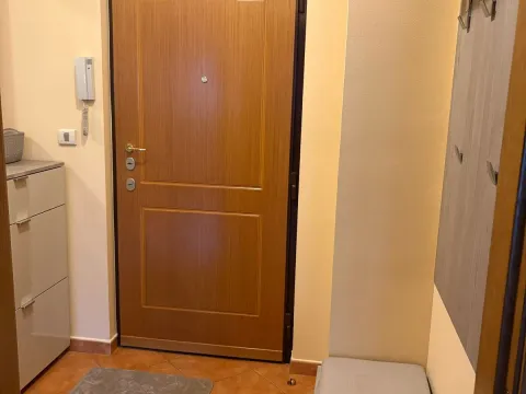 Izdavanje, jednosoban stan, 47m², Preko Morače, Podgorica - image 5