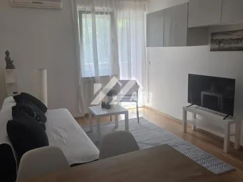 Izdavanje, jednosoban stan, 38m², Centar, Novi Sad - image 3