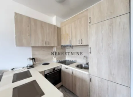 Izdavanje, jednosoban stan, 41m², Stari Aerodrom, Podgorica - image 9