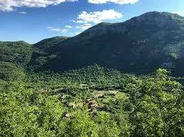 Sale, land lot, 30000m², Đinovići, Cetinje