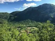 Sale, land lot, 30000m², Đinovići, Cetinje - image 1