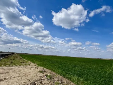 Prodaja, plac, 50000m², Batajnica, Beograd - image 6