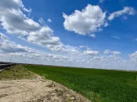 Prodaja, plac, Batajnica, Beograd - image 6