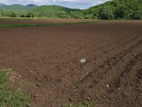 Prodaja, plac, 5037m², Rastovac, Nikšić - image 6