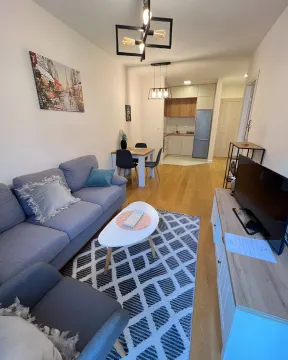 Prodaja, jednosoban stan, 40m², Central Point, Podgorica - image 5