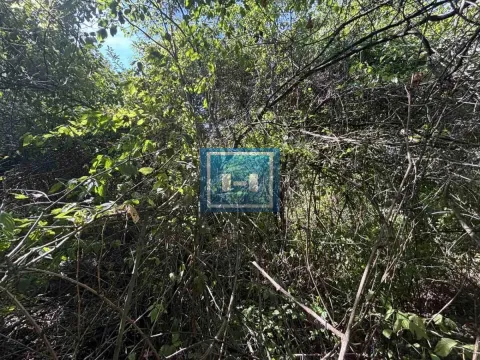 Sale, house, 76m², Izbenica, Varvarin - image 8