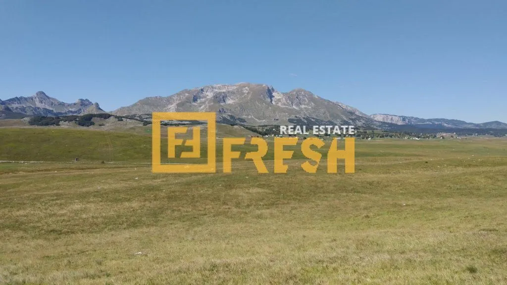 Prodaja, plac, 8000m², Žabljak, Crna Gora