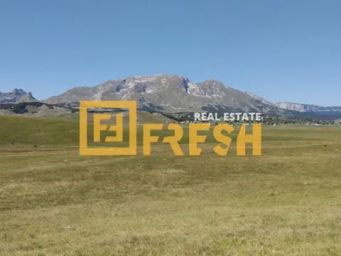 Prodaja, plac, 8000m², Žabljak, Crna Gora - image 3