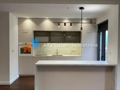 Izdavanje, trosoban stan, 113m², Vračar Centar, Vračar Sve Podlokacije - image 4