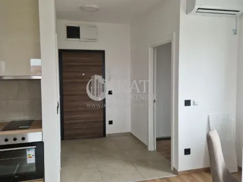 Izdavanje, dvosoban stan, 50m², Vojvode Vlahovica, Beograd - image 4