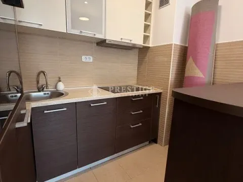 Izdavanje, jednosoban stan, 43m², Tološka šuma, Podgorica - image 8