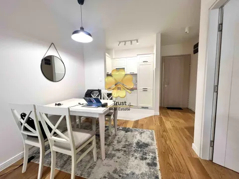 Izdavanje, jednosoban stan, 47m², Central Point, Podgorica - image 3