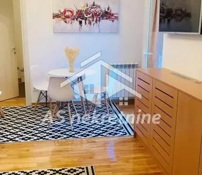 Izdavanje, dvosoban stan, 43m², Botanička Bašta, Palilula Sve Podlokacije - image 4