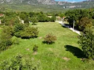 Sale, land lot, 2000m², Donji Martinići, Danilovgrad - image 2