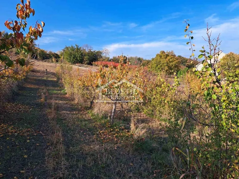 Prodaja, plac, 6700m², Grocka, Beograd