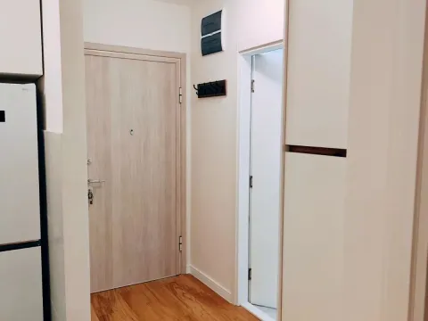 Prodaja, jednosoban stan, 39m², Central Point, Podgorica - image 6