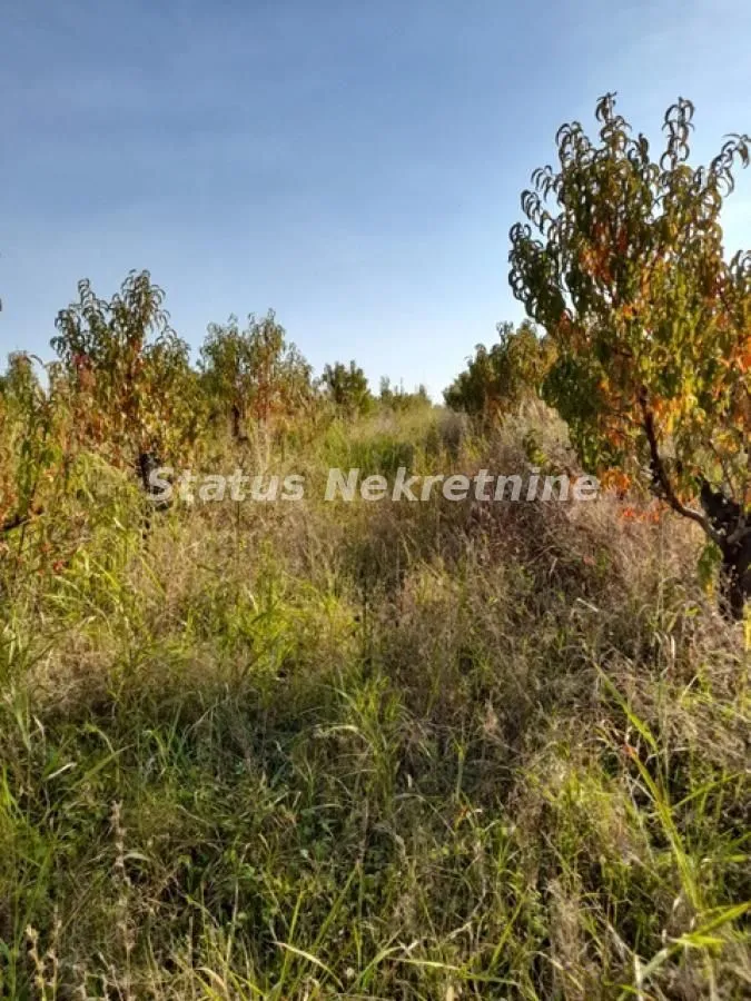 Prodaja, plac, 5000m², Sremski Karlovci, Novi Sad