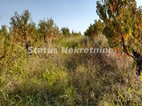 Sale, land lot, 5000m², Sremski Karlovci, Novi Sad - image 4