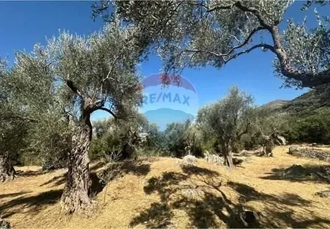 Sale, land lot, 1546m², Bartula, Bar - image 3