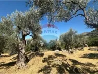 Sale, land lot, 1546m², Bartula, Bar - image 3