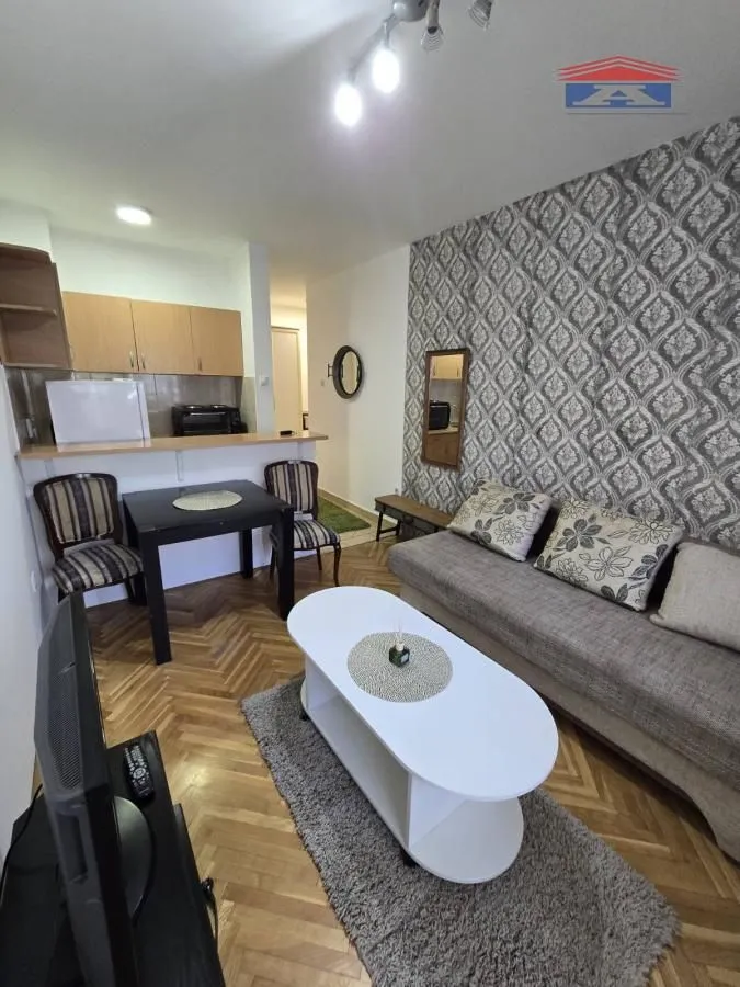 Izdavanje, garsonjera, 26m², Cara Dušana, Novi Sad Sve Podlokacije