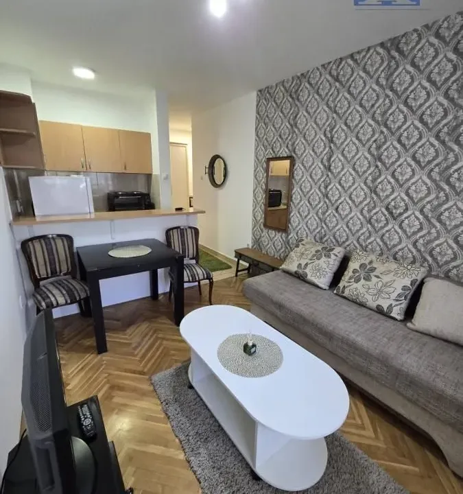 Izdavanje, garsonjera, 26m², Cara Dušana, Novi Sad Sve Podlokacije